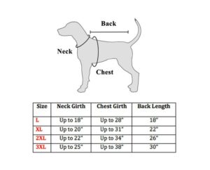 Dog size chart