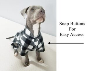 extra large breed dog pajamas