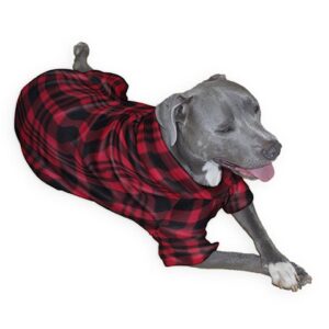 best dog clothing