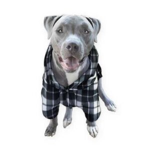 big dog pajamas