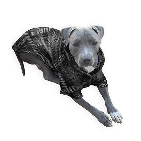 https://www.bigdogscloset.com/wp-content/uploads/2019/11/black-gray-diamonds-plaid-dog-pajama.jpg