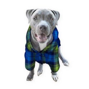 dog fleece onesie