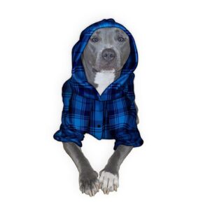 dog onesies for pitbulls