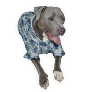 girl dog pajamas