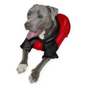 dog onesies for dogs