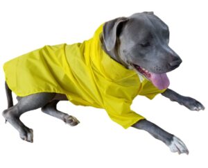 dog raincoat with hood