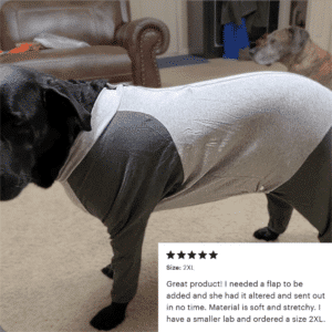 Post-surgery suit for large dog with skin irritation.