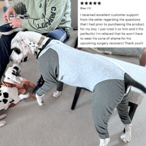 Post-surgery recovery suit for large dog.