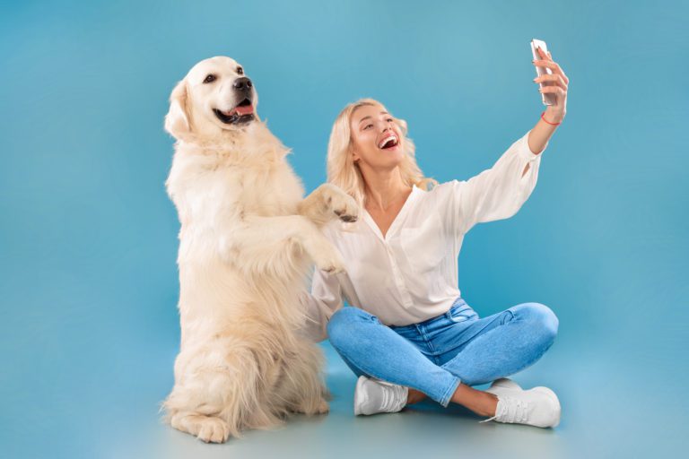 how to take better photo of your dog