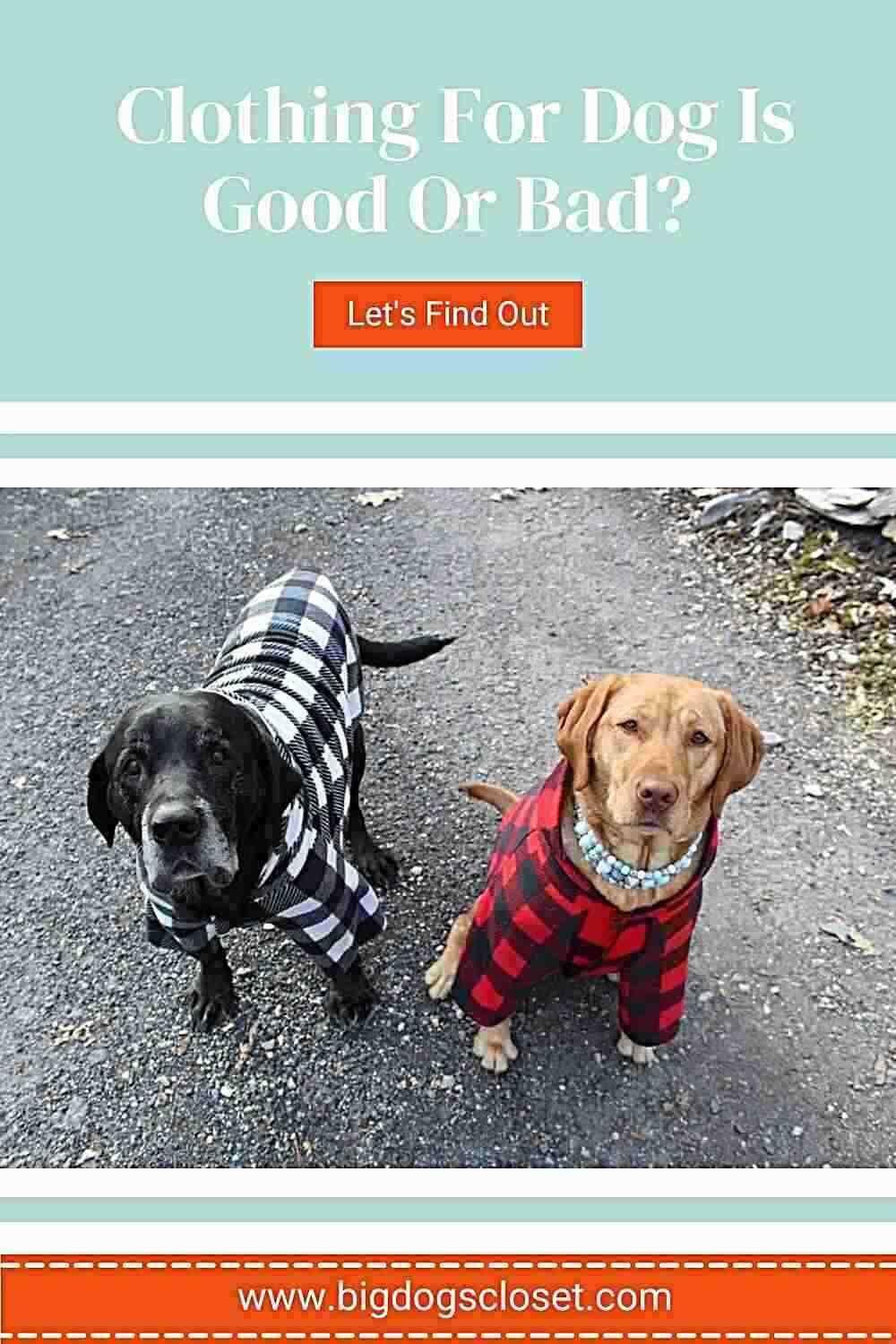 2 Large Dog Wearing Pajama. Is it Good For Dogs Wear Clothes?