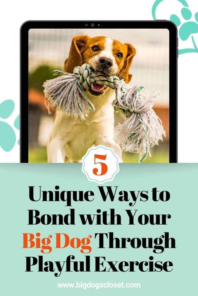 5 Unique Ways to Bond with Your Big Dog Through Playful Exercise