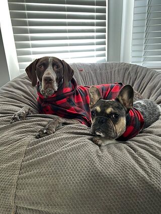 Dog Pajama for Big Dogs