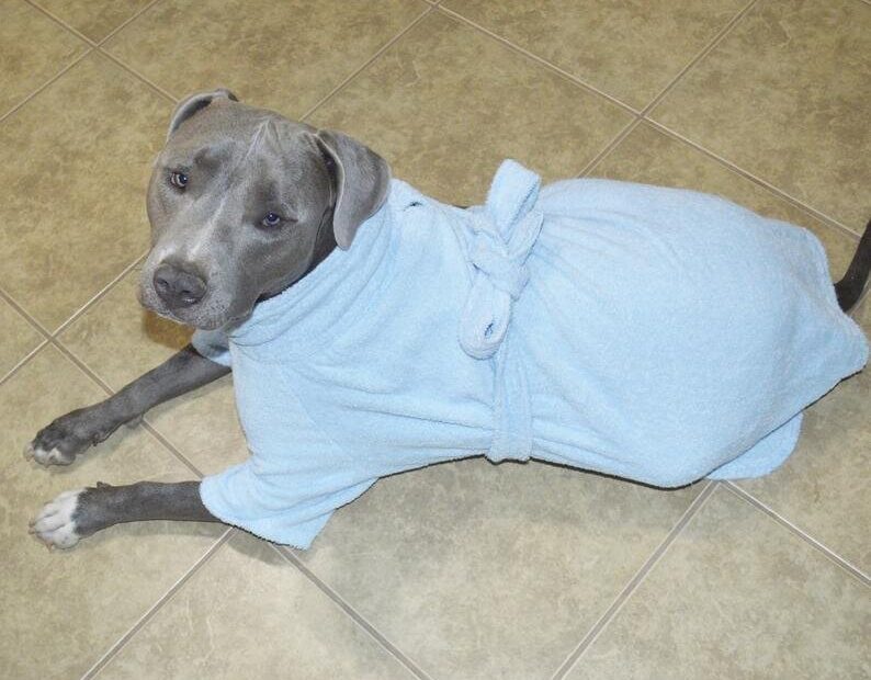 bathrobe for Big dogs