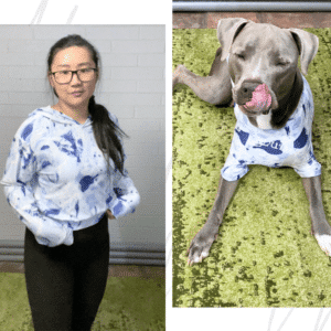 matching dog human shirts